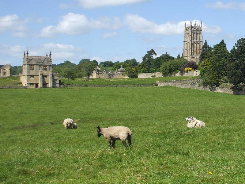 Chipping Campden sheep