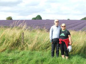 Snowshill lavender