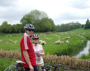 Sheep and river
