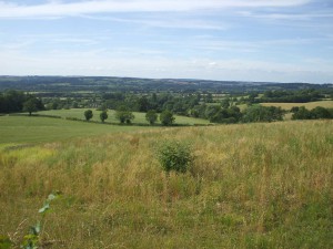 countryside view
