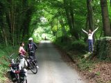 Enjoying the beech woods on the way to Farmington