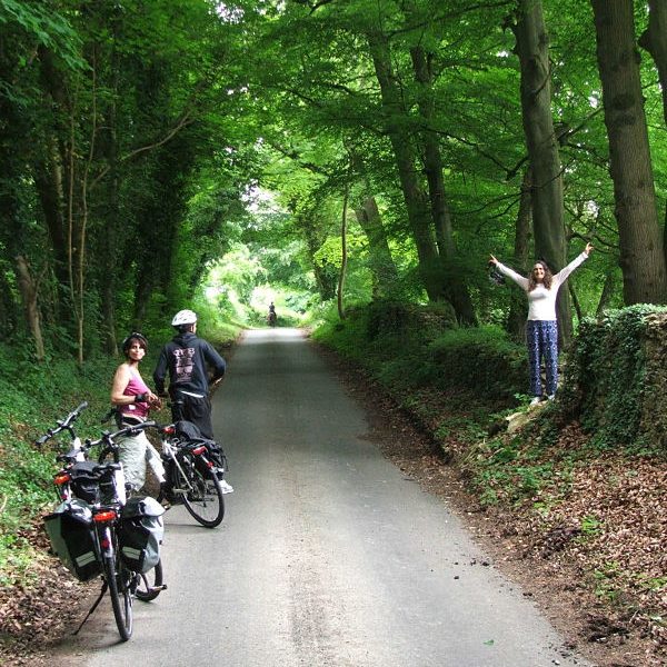 Enjoying the beech woods on the way to Farmington