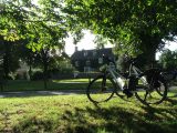 Kingham green