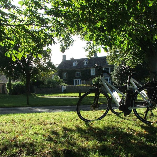 Kingham green