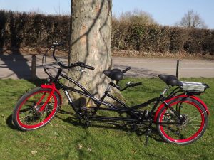 Electric tandem tours