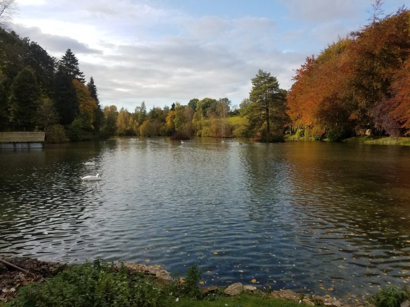 Cotswold mill pond